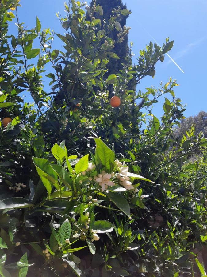 Ventimiglia di Sicilia Crapa Liccaヴィラ エクステリア 写真